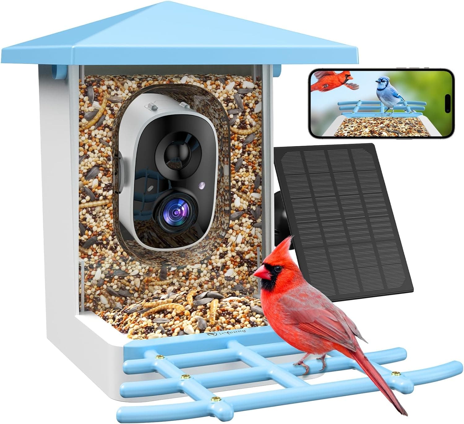 isYoung Birdlook Smart Bird Feeder with Camera (2K, Solar)